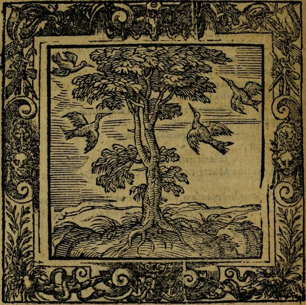 An illustration from Omnia Andreae Alciati v.c. emblemata [electronic resource]: cum commentariis, quibus emblematum omnium aperta origine, mens auctoris explicatur, & obscura omnia dubiáque illustrantur, 1581, leaf 302