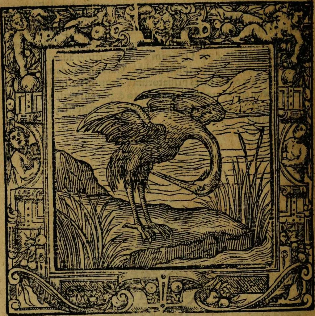 An illustration from Omnia Andreae Alciati v.c. emblemata [electronic resource]: cum commentariis, quibus emblematum omnium aperta origine, mens auctoris explicatur, & obscura omnia dubiáque illustrantur, 1581, leaf 344