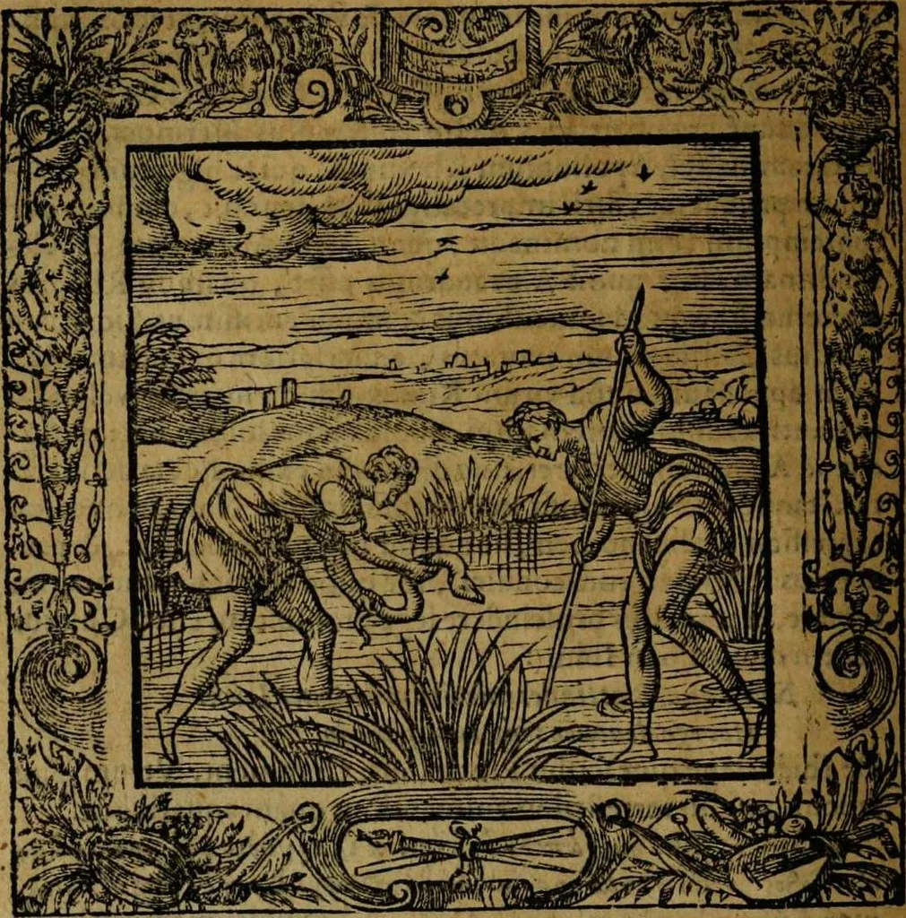 An illustration from Omnia Andreae Alciati v.c. emblemata [electronic resource]: cum commentariis, quibus emblematum omnium aperta origine, mens auctoris explicatur, & obscura omnia dubiáque illustrantur, 1581, leaf 346