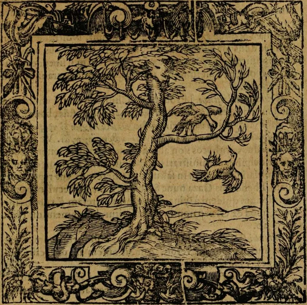 An illustration from Omnia Andreae Alciati v.c. emblemata [electronic resource]: cum commentariis, quibus emblematum omnium aperta origine, mens auctoris explicatur, & obscura omnia dubiáque illustrantur, 1581, leaf 359