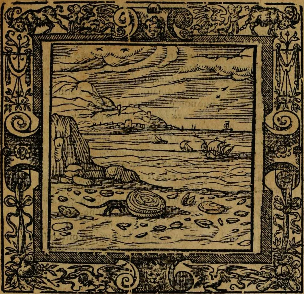 An illustration from Omnia Andreae Alciati v.c. emblemata [electronic resource]: cum commentariis, quibus emblematum omnium aperta origine, mens auctoris explicatur, & obscura omnia dubiáque illustrantur, 1581, leaf 361
