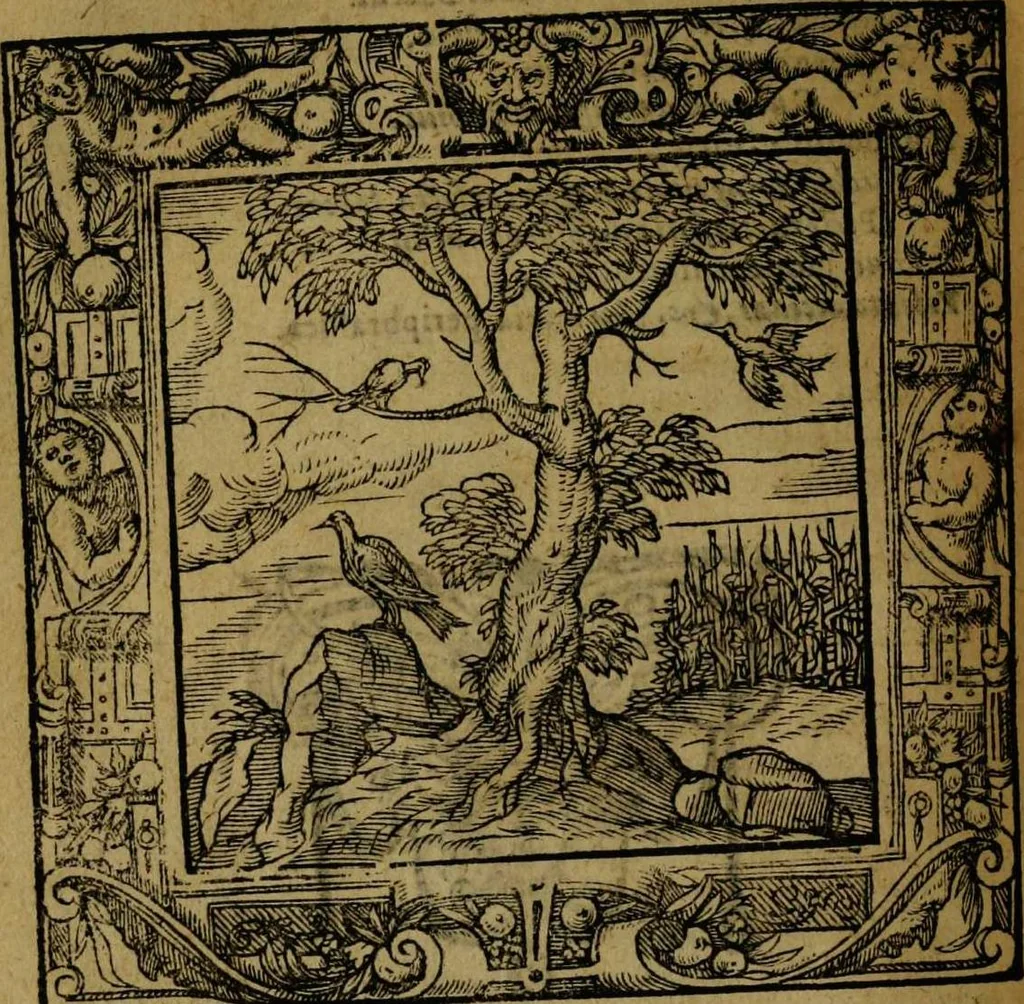 An illustration from Omnia Andreae Alciati v.c. emblemata [electronic resource]: cum commentariis, quibus emblematum omnium aperta origine, mens auctoris explicatur, & obscura omnia dubiáque illustrantur, 1581, leaf 378