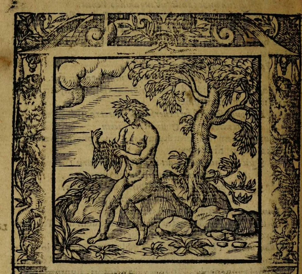 An illustration from Omnia Andreae Alciati v.c. emblemata [electronic resource]: cum commentariis, quibus emblematum omnium aperta origine, mens auctoris explicatur, & obscura omnia dubiáque illustrantur, 1581, leaf 408