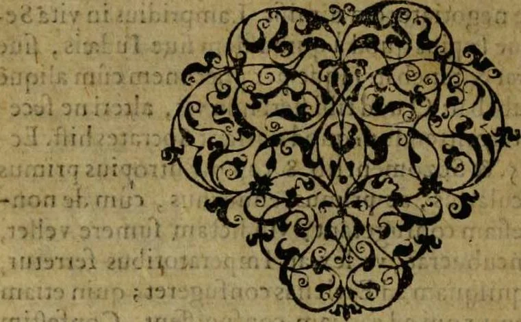 An illustration from Omnia Andreae Alciati v.c. emblemata [electronic resource]: cum commentariis, quibus emblematum omnium aperta origine, mens auctoris explicatur, & obscura omnia dubiáque illustrantur, 1581, leaf 416