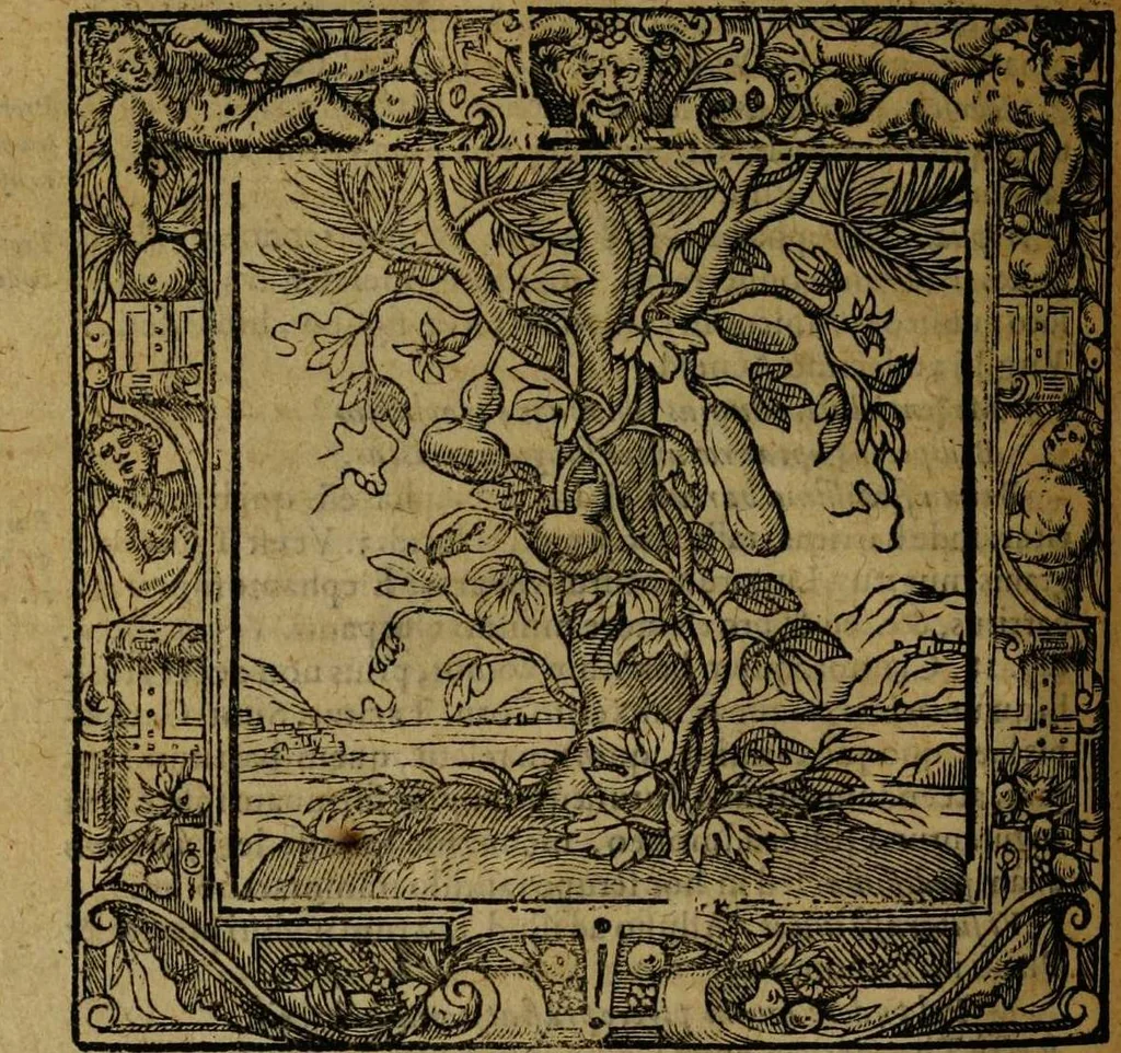 An illustration from Omnia Andreae Alciati v.c. emblemata [electronic resource]: cum commentariis, quibus emblematum omnium aperta origine, mens auctoris explicatur, & obscura omnia dubiáque illustrantur, 1581, leaf 474