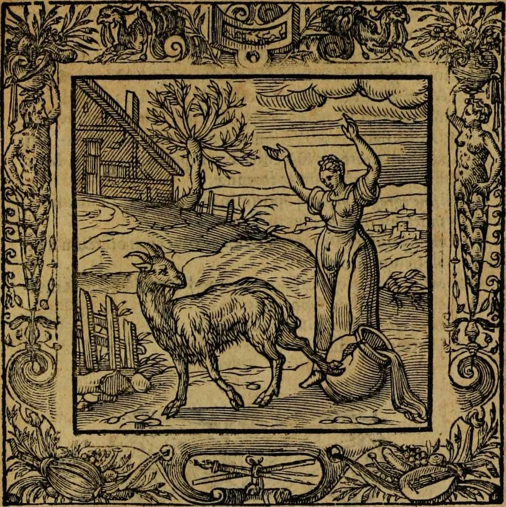 An illustration from Omnia Andreae Alciati v.c. emblemata [electronic resource]: cum commentariis, quibus emblematum omnium aperta origine, mens auctoris explicatur, & obscura omnia dubiáque illustrantur, 1581, leaf 531