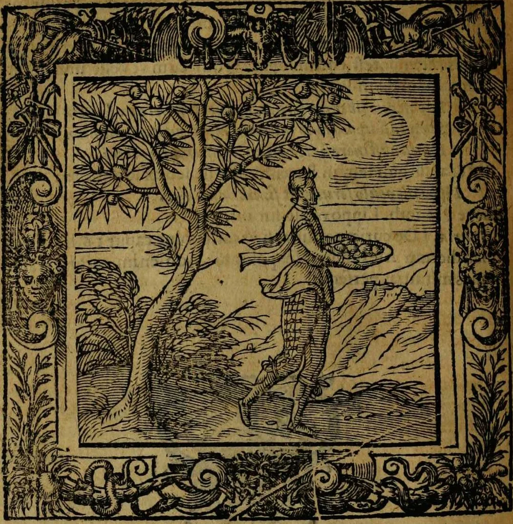 An illustration from Omnia Andreae Alciati v.c. emblemata [electronic resource]: cum commentariis, quibus emblematum omnium aperta origine, mens auctoris explicatur, & obscura omnia dubiáque illustrantur, 1581, leaf 536