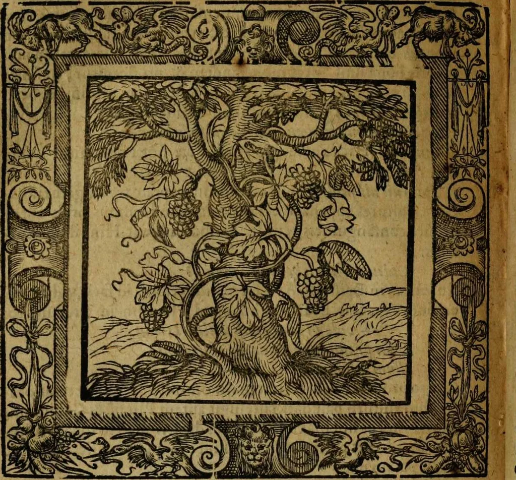 An illustration from Omnia Andreae Alciati v.c. emblemata [electronic resource]: cum commentariis, quibus emblematum omnium aperta origine, mens auctoris explicatur, & obscura omnia dubiáque illustrantur, 1581, leaf 582
