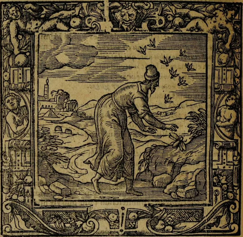 An illustration from Omnia Andreae Alciati v.c. emblemata [electronic resource]: cum commentariis, quibus emblematum omnium aperta origine, mens auctoris explicatur, & obscura omnia dubiáque illustrantur, 1581, leaf 594