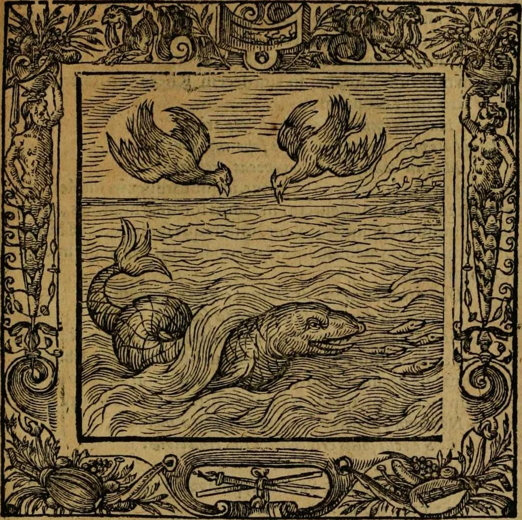 An illustration from Omnia Andreae Alciati v.c. emblemata [electronic resource]: cum commentariis, quibus emblematum omnium aperta origine, mens auctoris explicatur, & obscura omnia dubiáque illustrantur, 1581, leaf 611