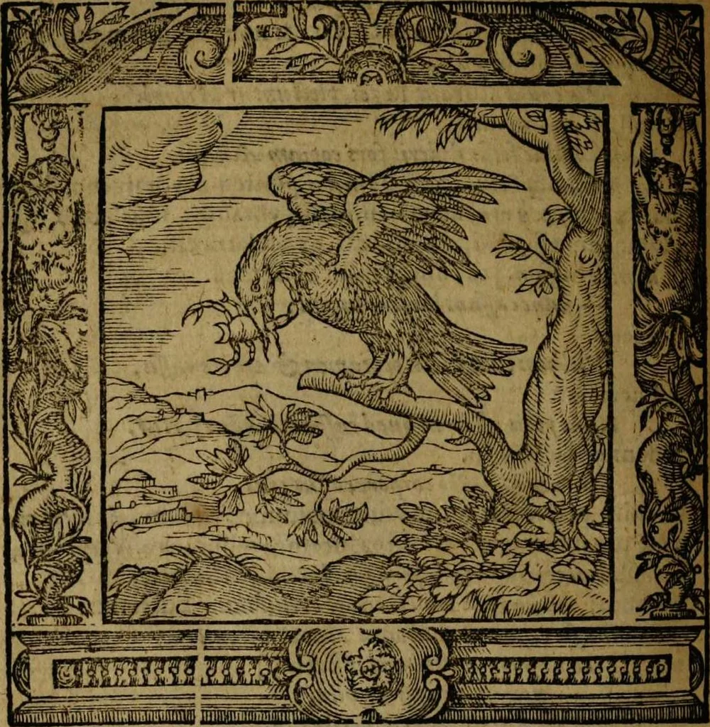 An illustration from Omnia Andreae Alciati v.c. emblemata [electronic resource]: cum commentariis, quibus emblematum omnium aperta origine, mens auctoris explicatur, & obscura omnia dubiáque illustrantur, 1581, leaf 620