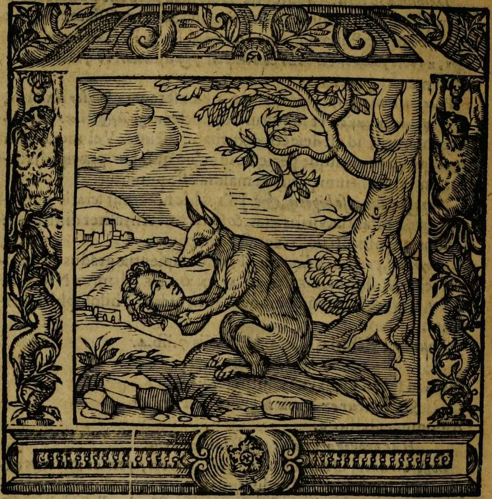 An illustration from Omnia Andreae Alciati v.c. emblemata [electronic resource]: cum commentariis, quibus emblematum omnium aperta origine, mens auctoris explicatur, & obscura omnia dubiáque illustrantur, 1581, leaf 682