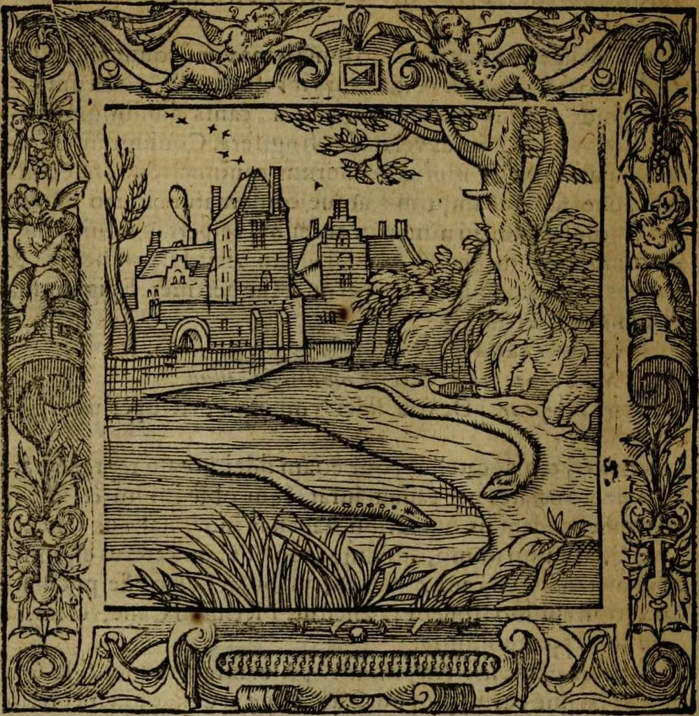 An illustration from Omnia Andreae Alciati v.c. emblemata [electronic resource]: cum commentariis, quibus emblematum omnium aperta origine, mens auctoris explicatur, & obscura omnia dubiáque illustrantur, 1581, leaf 688