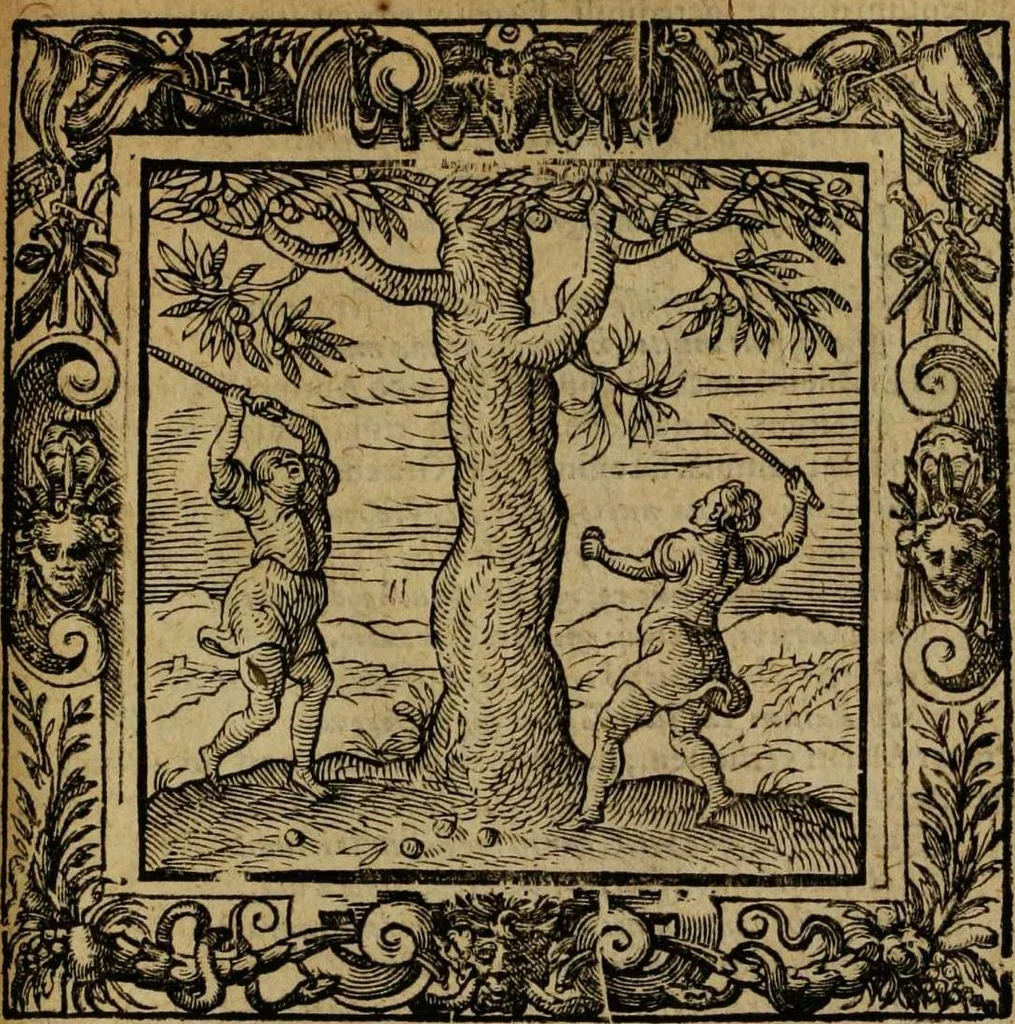An illustration from Omnia Andreae Alciati v.c. emblemata [electronic resource]: cum commentariis, quibus emblematum omnium aperta origine, mens auctoris explicatur, & obscura omnia dubiáque illustrantur, 1581, leaf 691