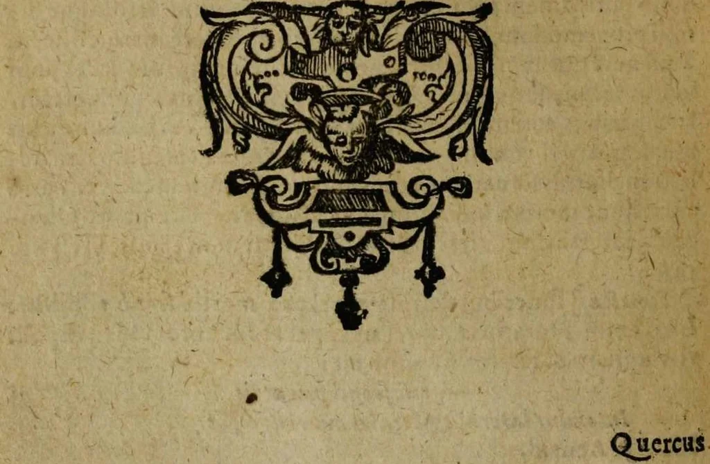 An illustration from Omnia Andreae Alciati v.c. emblemata [electronic resource]: cum commentariis, quibus emblematum omnium aperta origine, mens auctoris explicatur, & obscura omnia dubiáque illustrantur, 1581, leaf 714