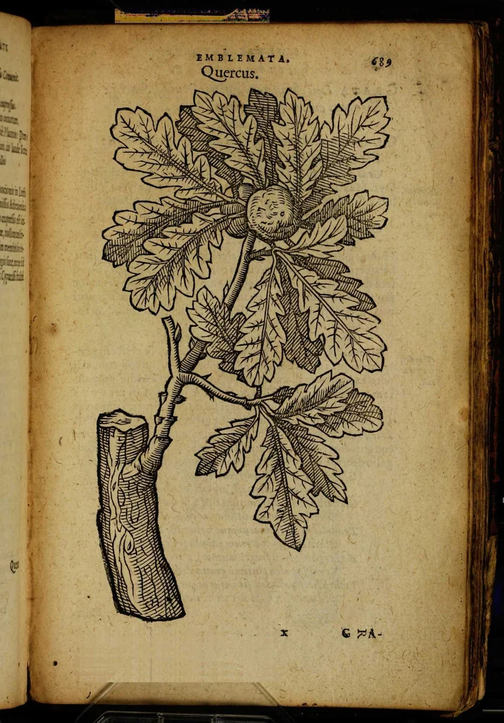 An illustration from Omnia Andreae Alciati v.c. emblemata [electronic resource]: cum commentariis, quibus emblematum omnium aperta origine, mens auctoris explicatur, & obscura omnia dubiáque illustrantur, 1581, leaf 715