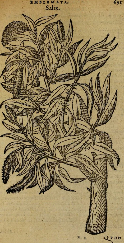 An illustration from Omnia Andreae Alciati v.c. emblemata [electronic resource]: cum commentariis, quibus emblematum omnium aperta origine, mens auctoris explicatur, & obscura omnia dubiáque illustrantur, 1581, leaf 717