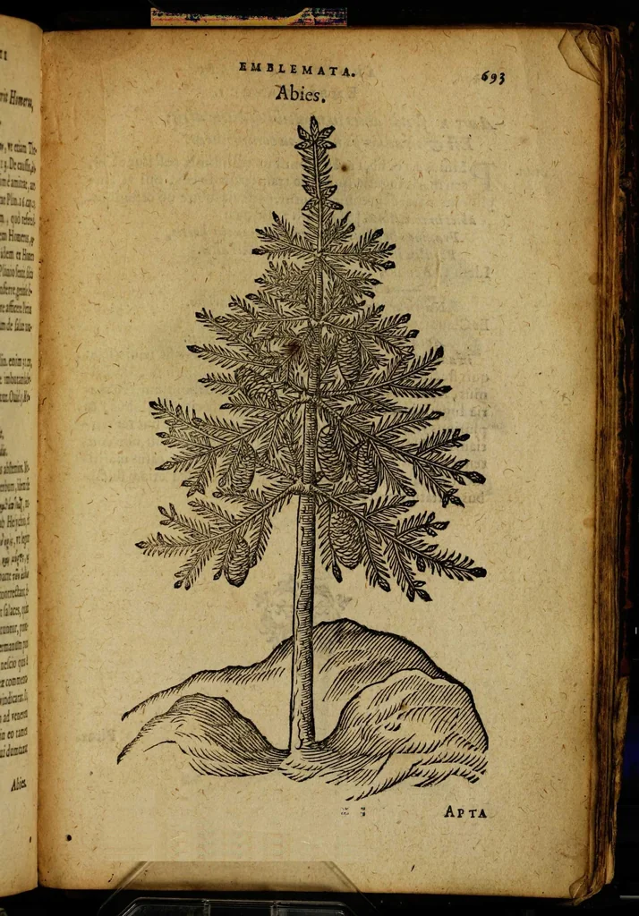 An illustration from Omnia Andreae Alciati v.c. emblemata [electronic resource]: cum commentariis, quibus emblematum omnium aperta origine, mens auctoris explicatur, & obscura omnia dubiáque illustrantur, 1581, leaf 719