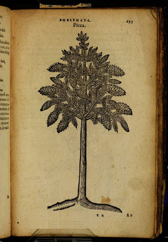 An illustration from Omnia Andreae Alciati v.c. emblemata [electronic resource]: cum commentariis, quibus emblematum omnium aperta origine, mens auctoris explicatur, & obscura omnia dubiáque illustrantur, 1581, leaf 721