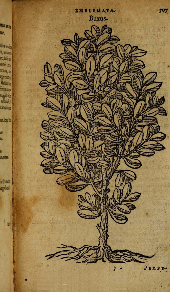 An illustration from Omnia Andreae Alciati v.c. emblemata [electronic resource]: cum commentariis, quibus emblematum omnium aperta origine, mens auctoris explicatur, & obscura omnia dubiáque illustrantur, 1581, leaf 733
