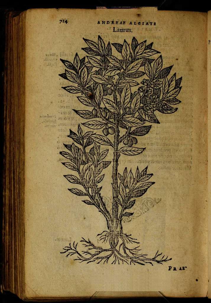 An illustration from Omnia Andreae Alciati v.c. emblemata [electronic resource]: cum commentariis, quibus emblematum omnium aperta origine, mens auctoris explicatur, & obscura omnia dubiáque illustrantur, 1581, leaf 740