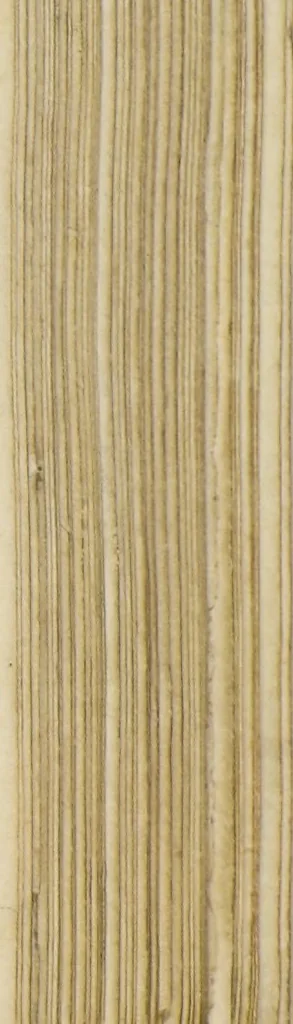 An illustration from Colonna Traiana eretta dal Senato, e popolo romano all'imperatore Traiano Avgvsto nel svo foro in Roma [electronic resource]: scolpita con l'historie della gverra dacica la prima e la seconda espeditione, e vittoria contro il re Decebalo, 1673, leaf 163