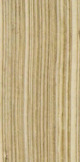An illustration from Colonna Traiana eretta dal Senato, e popolo romano all'imperatore Traiano Avgvsto nel svo foro in Roma [electronic resource]: scolpita con l'historie della gverra dacica la prima e la seconda espeditione, e vittoria contro il re Decebalo, 1673, leaf 167