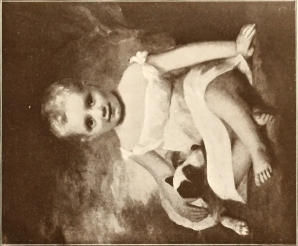 An illustration from Illustrated catalogue of the seventh series of 100 paintings by old masters of the Dutch, Flemish, Italian, French, and English schools, being a portion of the Sedelmeyer Gallery : which contains about 1500 original pictures by ancient and modern artists, 1901, leaf 126