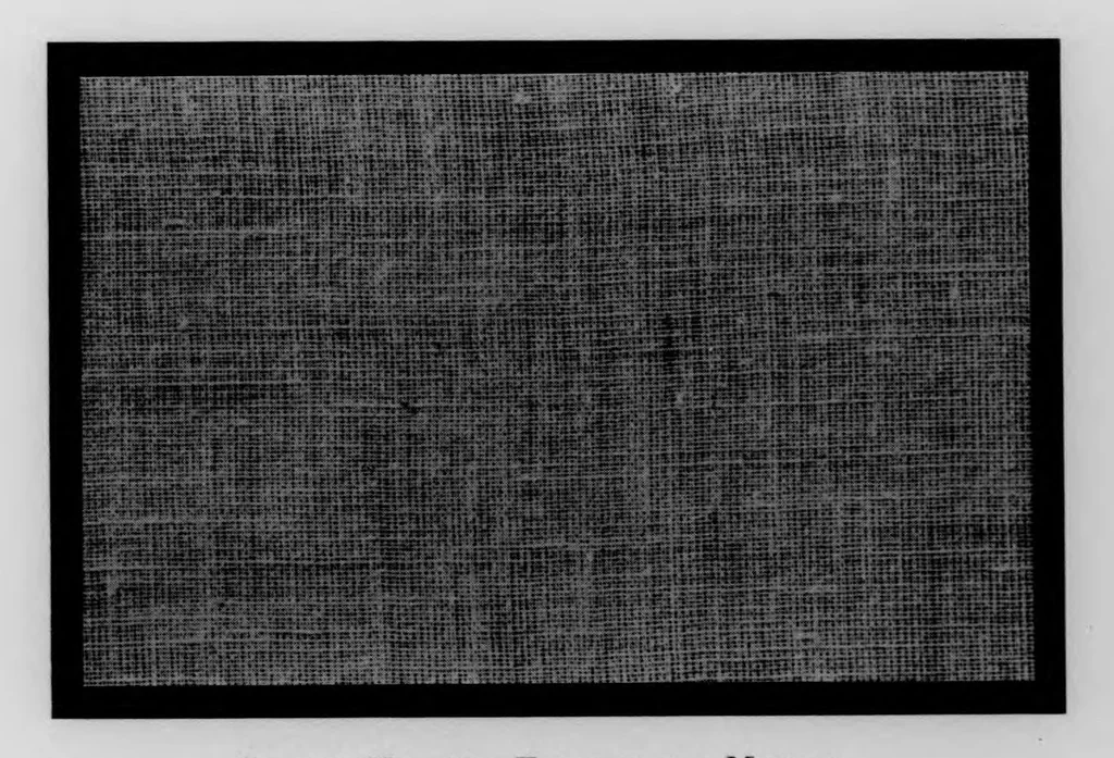 An illustration from 100 imported cotton cloths [microform] : showing cloth particulars, invoice prices in 1913 and 1920, and rates of duty applicable under acts of 1909, 1913, and 1922, 1923, leaf 27