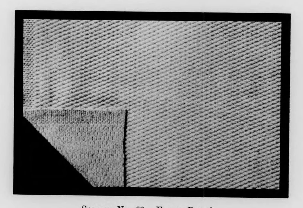 An illustration from 100 imported cotton cloths [microform] : showing cloth particulars, invoice prices in 1913 and 1920, and rates of duty applicable under acts of 1909, 1913, and 1922, 1923, leaf 40
