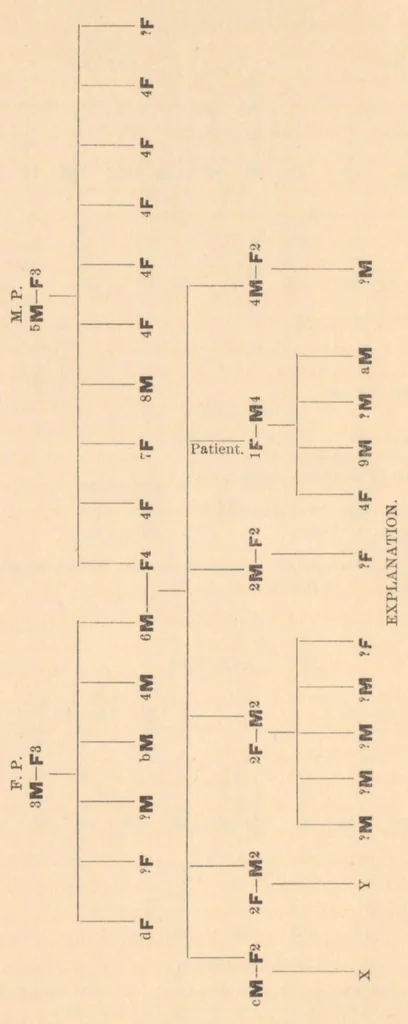 An illustration from Contributions to the general etiology and pathology of the insane, 1896, leaf 11