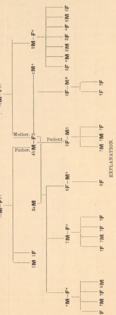 An illustration from Contributions to the general etiology and pathology of the insane, 1896, leaf 9
