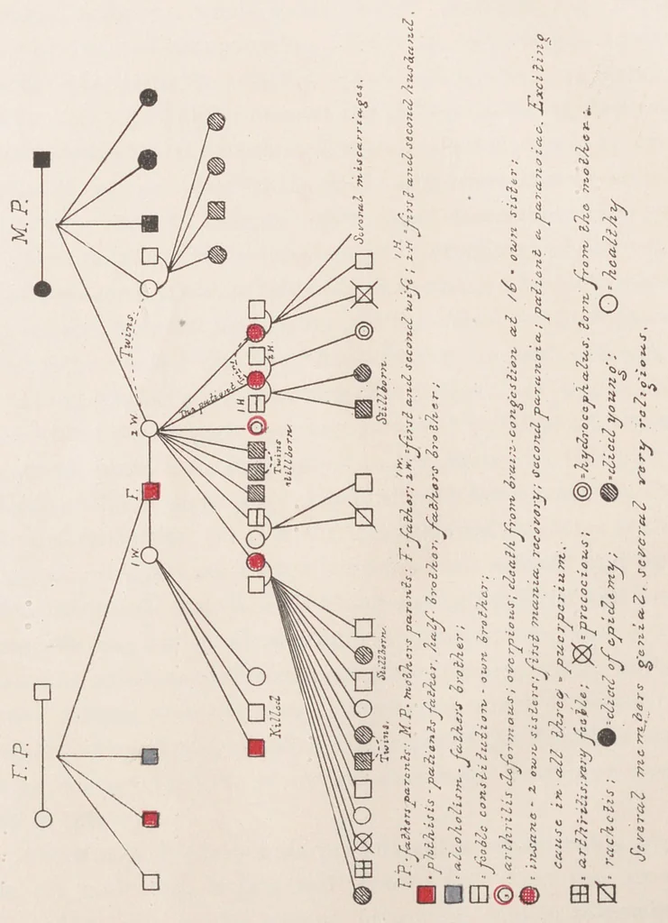 An illustration from Contributions to the general etiology and pathology of the insane, 1896, leaf 17
