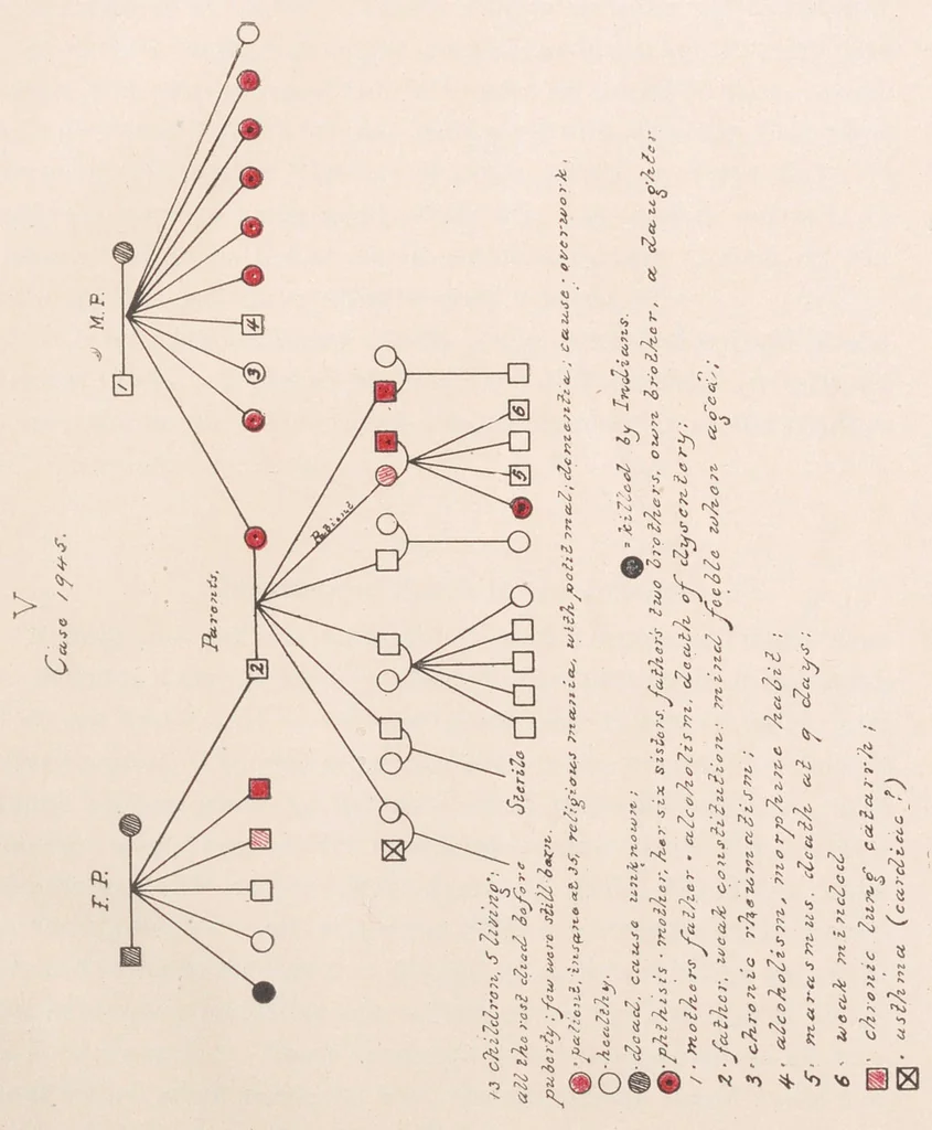 An illustration from Contributions to the general etiology and pathology of the insane, 1896, leaf 24
