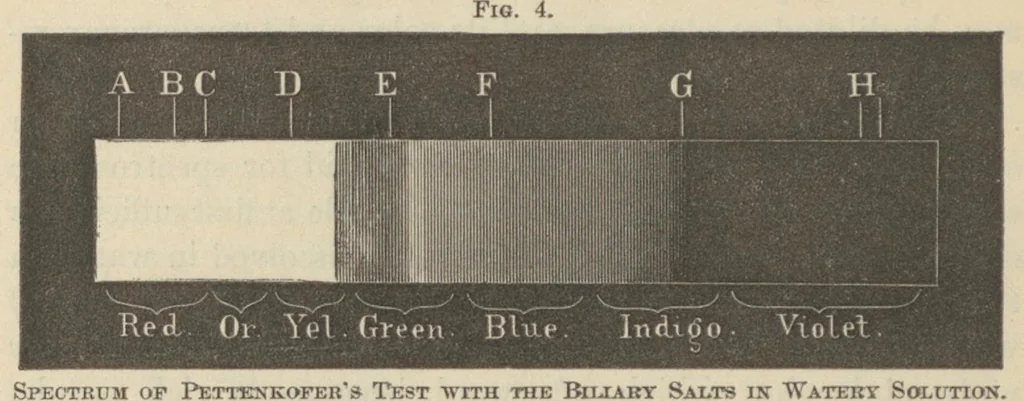 An illustration from On the spectrum of bile : a paper read before the New York Academy of Medicine, January 8, 1874, 1874, leaf 19