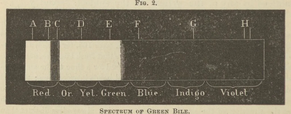 An illustration from On the spectrum of bile : a paper read before the New York Academy of Medicine, January 8, 1874, 1874, leaf 9