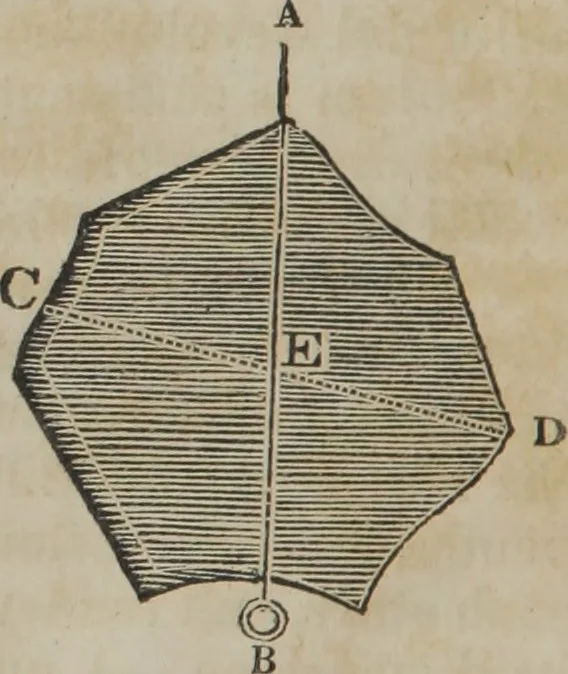 An illustration from Philosophical instructor, or, Webster's elements of natural philosophy : subdivided into principles and illustrations ; intended for academies, medical schools, and the popular class-room, 1824, leaf 41