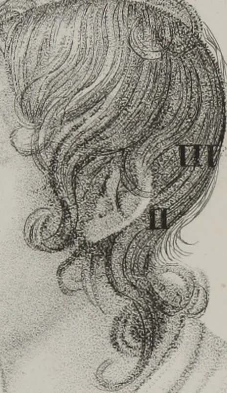 An illustration from Phrenology, or, The doctrine of the mental phenomena (Volume 1), 1833, leaf 352