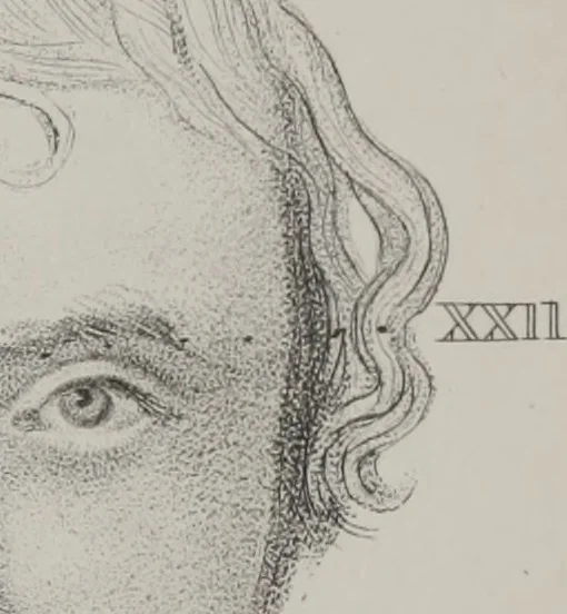 An illustration from Phrenology, or, The doctrine of the mental phenomena (Volume 1), 1833, leaf 364