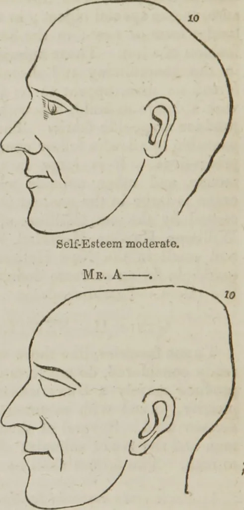 An illustration from Elements of phrenology, 1845, leaf 109