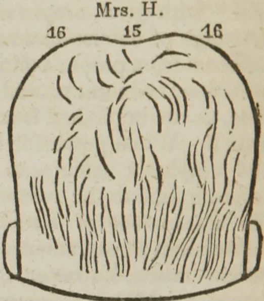 An illustration from Elements of phrenology, 1845, leaf 123