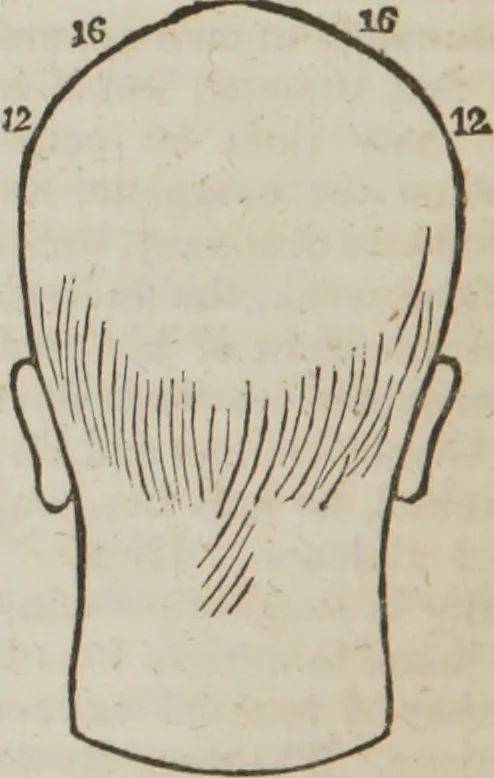 An illustration from Elements of phrenology, 1845, leaf 123