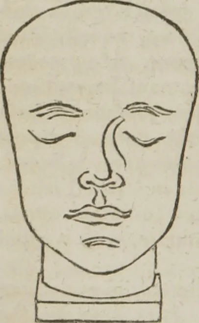 An illustration from Elements of phrenology, 1845, leaf 137