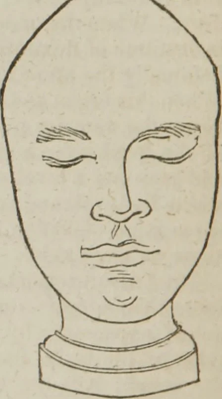 An illustration from Elements of phrenology, 1845, leaf 137