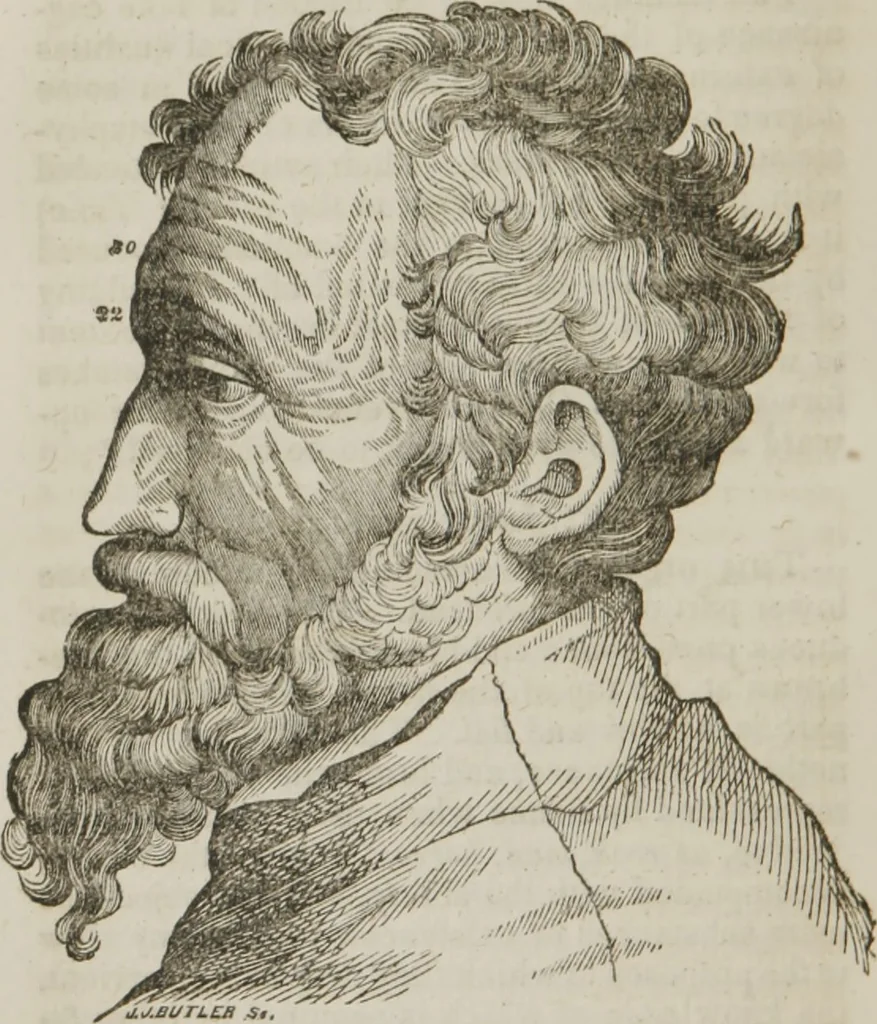 An illustration from Elements of phrenology, 1845, leaf 145
