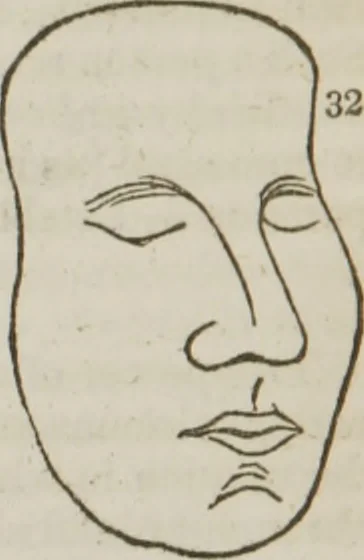 An illustration from Elements of phrenology, 1845, leaf 161