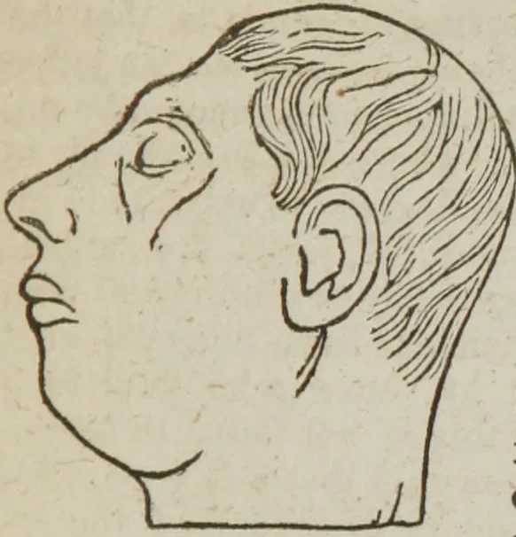 An illustration from Elements of phrenology, 1845, leaf 196