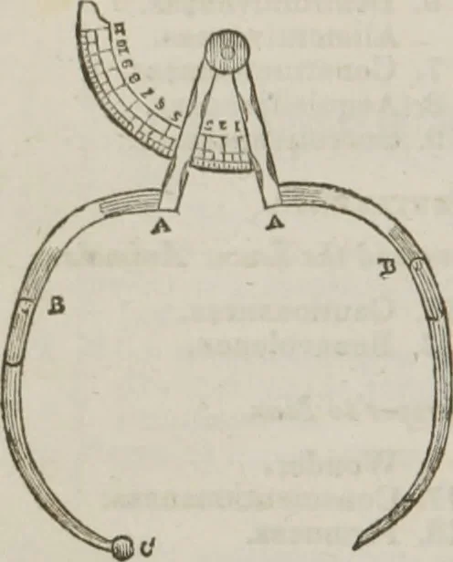 An illustration from Elements of phrenology, 1845, leaf 253