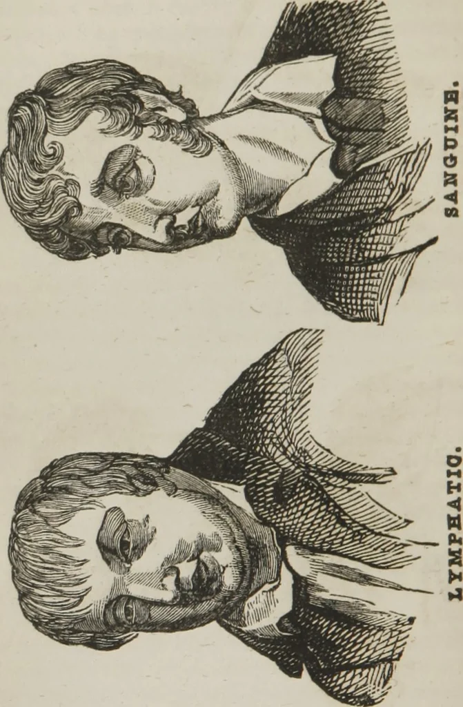 An illustration from Elements of phrenology, 1845, leaf 37
