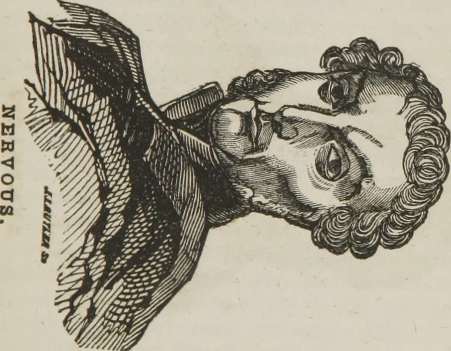 An illustration from Elements of phrenology, 1845, leaf 38